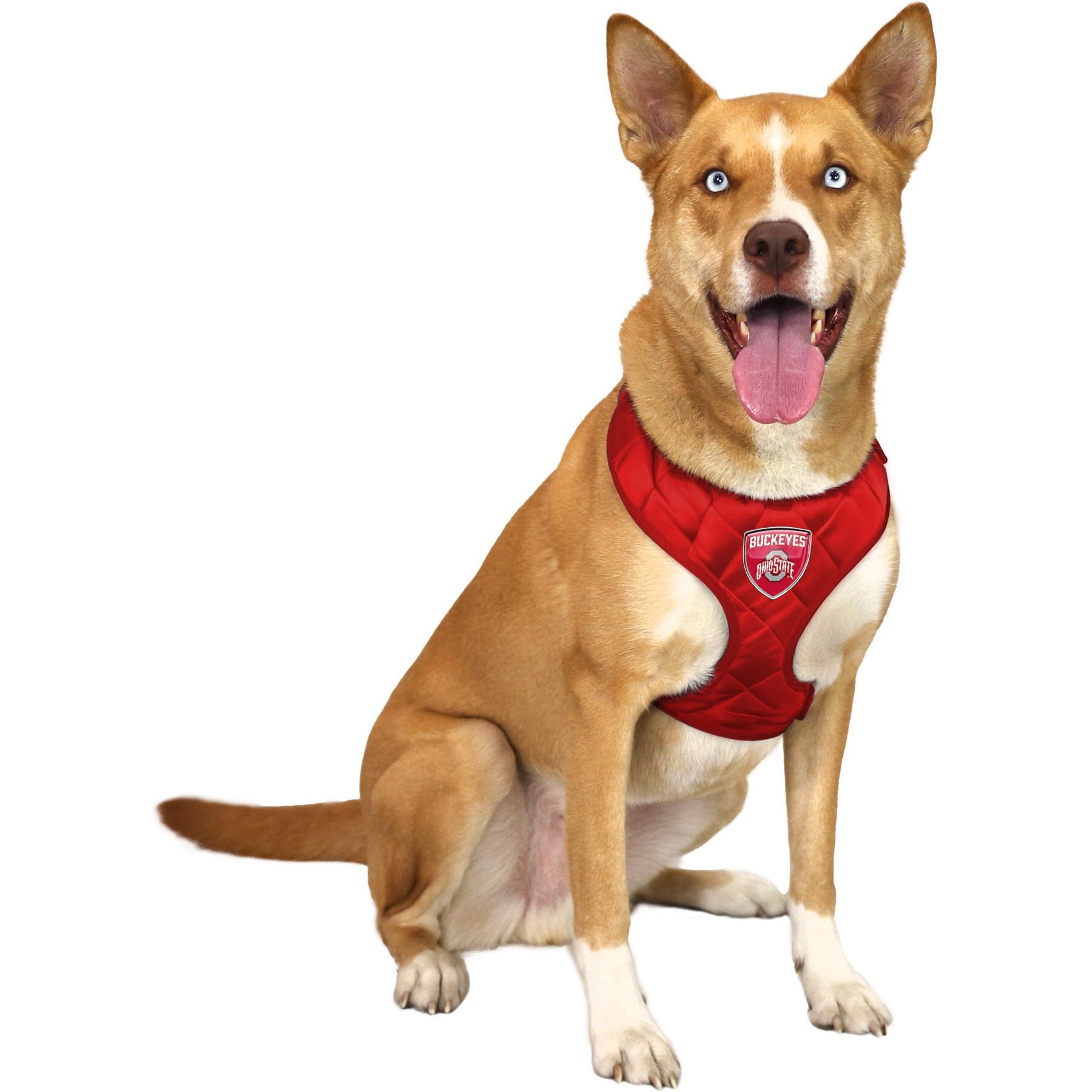 Littlearth NCAA Velvet Dog Harness, Ohio State Buckeyes, Medium