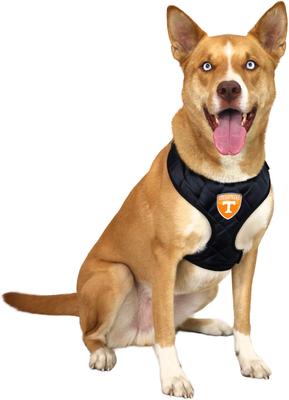 Show full view: Littlearth NCAA Velvet Dog Harness, Tennessee Volunteers, Small slide 2 of 7