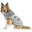 Show in main carousel: Littlearth NFL Dog & Cat Hooded Crewneck Sweater, Seattle Seahawks, X-Large slide 4 of 6