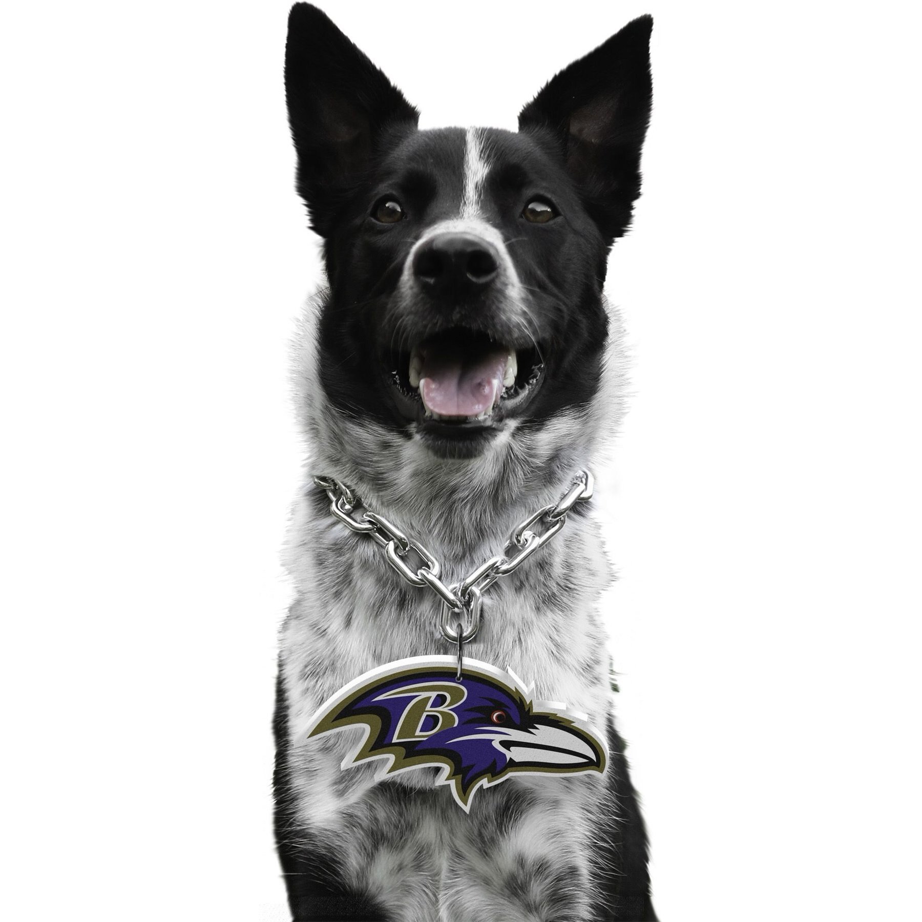 Littlearth NFL Fan Chain for Dogs & Cats, Baltimore Ravens
