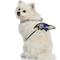 Show in main carousel: Littlearth NFL Fan Chain for Dogs & Cats, Baltimore Ravens slide 3 of 6