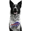 Show in main carousel: Littlearth NFL Fan Chain for Dogs & Cats, Buffalo Bills slide 1 of 6
