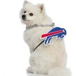 Show in main carousel: Littlearth NFL Fan Chain for Dogs & Cats, Buffalo Bills slide 3 of 6