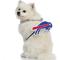 Show in main carousel: Littlearth NFL Fan Chain for Dogs & Cats, Buffalo Bills slide 4 of 7