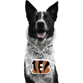 CINCINNATI BENGALS DOG JERSEYS (Free Shipping) Chewy