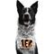 Show in main carousel: Littlearth NFL Fan Chain for Dogs & Cats, Cincinnati Bengals slide 1 of 6