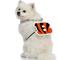 Show in main carousel: Littlearth NFL Fan Chain for Dogs & Cats, Cincinnati Bengals slide 3 of 6