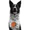 Show in main carousel: Littlearth NFL Fan Chain for Dogs & Cats, Cleveland Browns slide 1 of 6