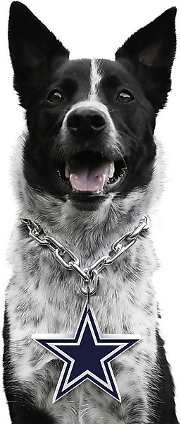Littlearth NFL Fan Chain for Dogs & Cats