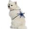 Show in main carousel: Littlearth NFL Fan Chain for Dogs & Cats, Dallas Cowboys slide 3 of 6