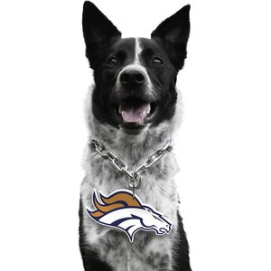 Littlearth NFL Fan Chain for Dogs & Cats, Denver Broncos