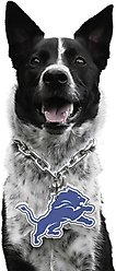 Littlearth NFL Fan Chain for Dogs & Cats, Detroit Lions