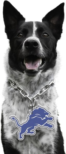 Show full view: Littlearth NFL Fan Chain for Dogs & Cats, Detroit Lions slide 1 of 6
