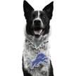 Show in main carousel: Littlearth NFL Fan Chain for Dogs & Cats, Detroit Lions slide 1 of 6