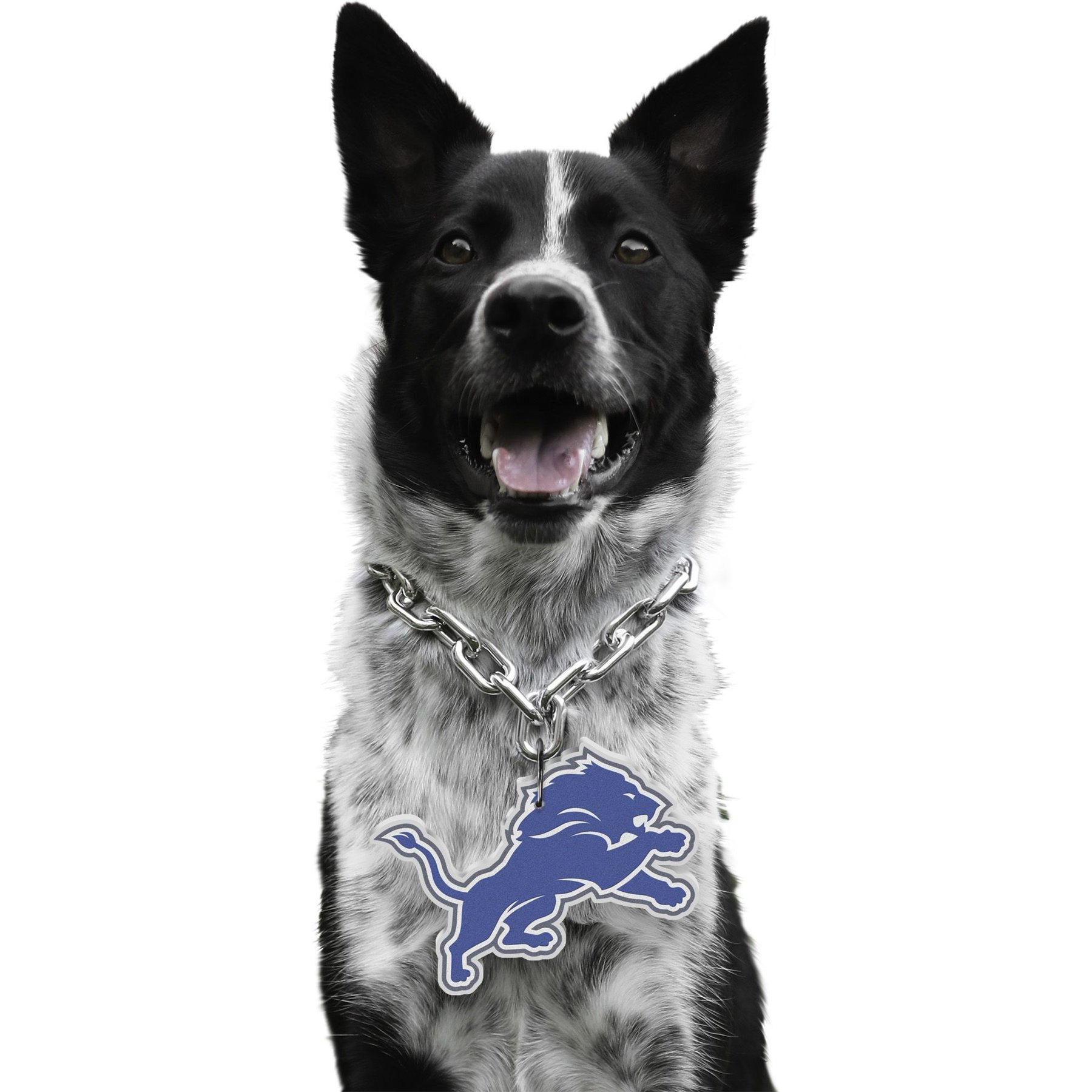 Littlearth NFL Fan Chain for Dogs & Cats, Detroit Lions