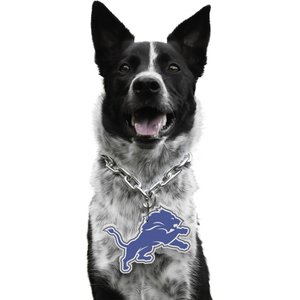 Littlearth NFL Fan Chain for Dogs & Cats, Detroit Lions