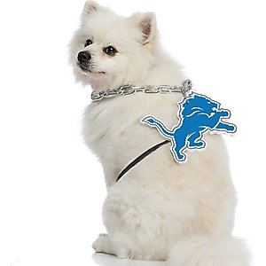 Littlearth NFL Fan Chain for Dogs & Cats, Detroit Lions