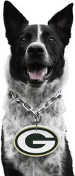 Littlearth NFL Fan Chain for Dogs & Cats, Green Bay Packers