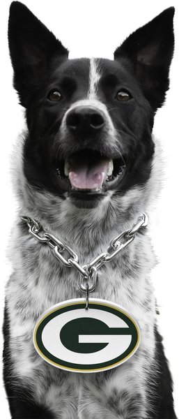 Show full view: Littlearth NFL Fan Chain for Dogs & Cats, Green Bay Packers slide 1 of 6