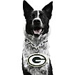 Show in main carousel: Littlearth NFL Fan Chain for Dogs & Cats, Green Bay Packers slide 1 of 6