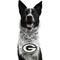 Show in main carousel: Littlearth NFL Fan Chain for Dogs & Cats, Green Bay Packers slide 1 of 6