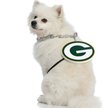 Show in main carousel: Littlearth NFL Fan Chain for Dogs & Cats, Green Bay Packers slide 3 of 6