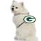 Show in main carousel: Littlearth NFL Fan Chain for Dogs & Cats, Green Bay Packers slide 3 of 6