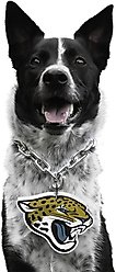 Littlearth NFL Fan Chain for Dogs & Cats, Jacksonville Jaguars