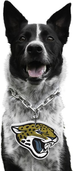 Show full view: Littlearth NFL Fan Chain for Dogs & Cats, Jacksonville Jaguars slide 1 of 6
