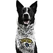 Show in main carousel: Littlearth NFL Fan Chain for Dogs & Cats, Jacksonville Jaguars slide 1 of 6