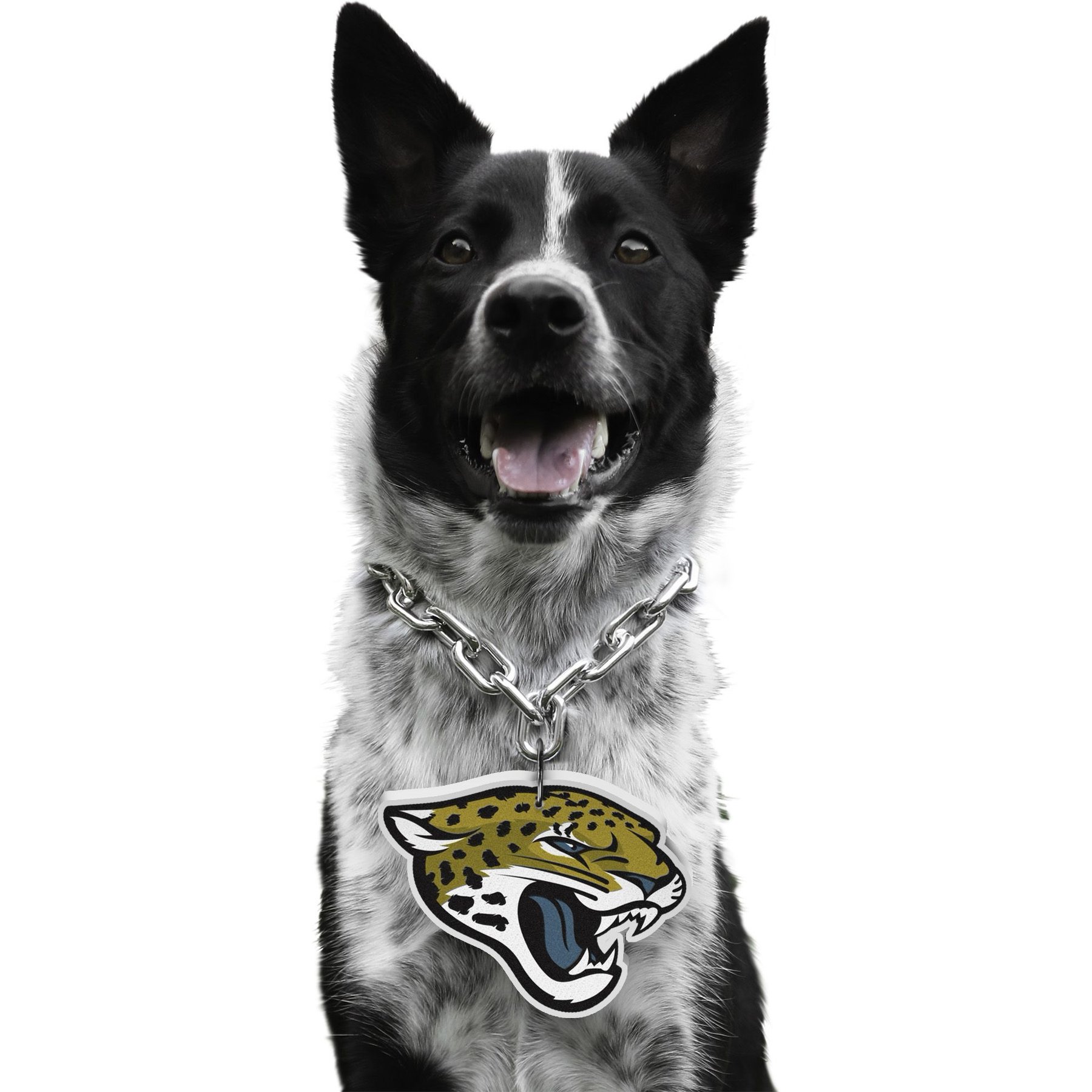 Littlearth NFL Fan Chain for Dogs & Cats, Jacksonville Jaguars