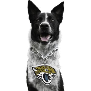 Littlearth NFL Fan Chain for Dogs & Cats, Jacksonville Jaguars