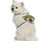 Show in main carousel: Littlearth NFL Fan Chain for Dogs & Cats, Jacksonville Jaguars slide 3 of 6