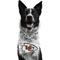 Show in main carousel: Littlearth NFL Fan Chain for Dogs & Cats, Kansas City Chiefs slide 1 of 6
