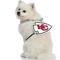 Show in main carousel: Littlearth NFL Fan Chain for Dogs & Cats, Kansas City Chiefs slide 3 of 6