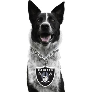 Littlearth NFL Fan Chain for Dogs & Cats, Las Vegas Raiders