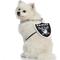 Show in main carousel: Littlearth NFL Fan Chain for Dogs & Cats, Las Vegas Raiders slide 4 of 7