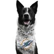Show in main carousel: Littlearth NFL Fan Chain for Dogs & Cats, Miami Dolphins slide 1 of 6
