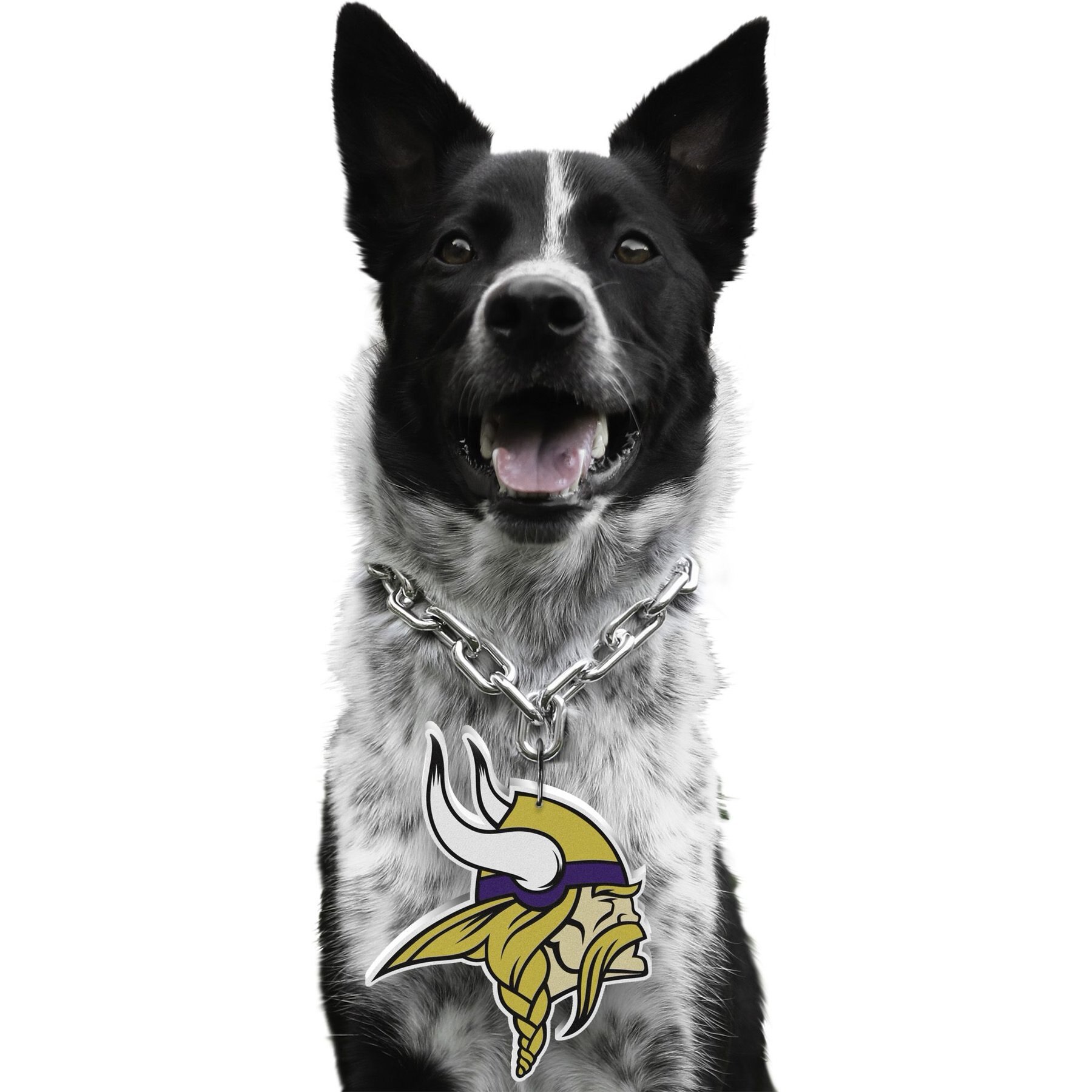 Littlearth NFL Fan Chain for Dogs & Cats, Minnesota Vikings