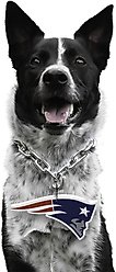 Littlearth NFL Fan Chain for Dogs & Cats, New England Patriots
