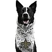 Show in main carousel: Littlearth NFL Fan Chain for Dogs & Cats, New Orleans Saints slide 1 of 6