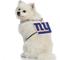 Show in main carousel: Littlearth NFL Fan Chain for Dogs & Cats, New York Giants slide 4 of 7