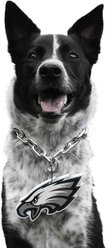 Littlearth NFL Fan Chain for Dogs & Cats, Philadelphia Eagles