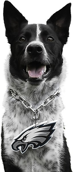 Show full view: Littlearth NFL Fan Chain for Dogs & Cats, Philadelphia Eagles slide 1 of 6