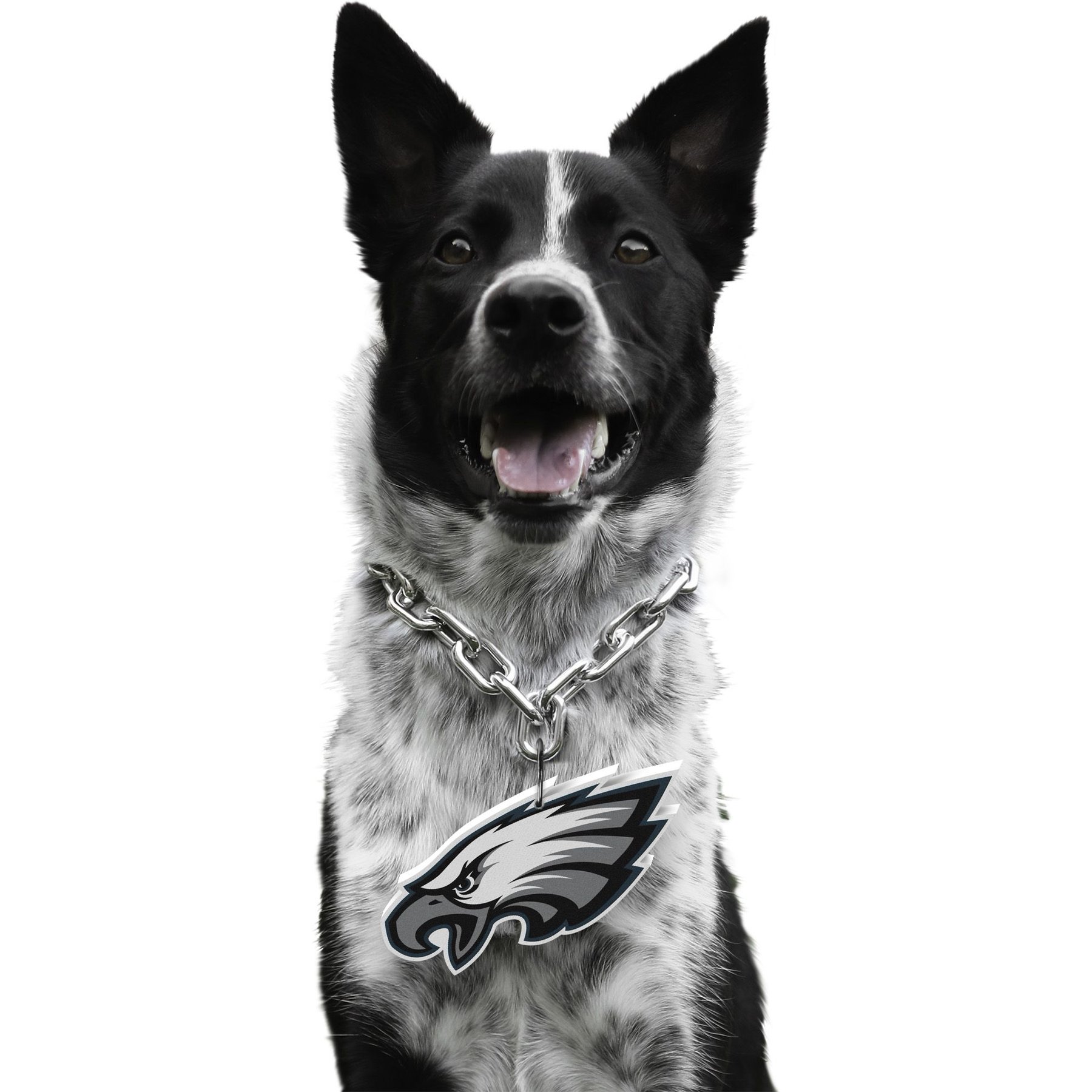 Littlearth NFL Fan Chain for Dogs & Cats, Philadelphia Eagles