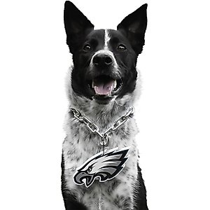 Littlearth NFL Valor Stretch Jersey for Dogs & Cats