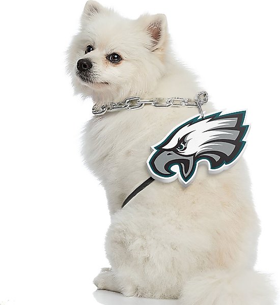 Show full view: Littlearth NFL Fan Chain for Dogs & Cats, Philadelphia Eagles slide 3 of 6