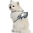 Show in main carousel: Littlearth NFL Fan Chain for Dogs & Cats, Philadelphia Eagles slide 3 of 6