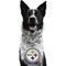 Show in main carousel: Littlearth NFL Fan Chain for Dogs & Cats, Pittsburgh Steelers slide 1 of 6