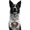 Show in main carousel: Littlearth NFL Fan Chain for Dogs & Cats, San Francisco 49ers slide 1 of 6
